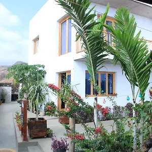 Pipi's Bed & Breakfast